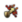 Generic mio trait icon breakthrough.png